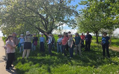 Überraschungswanderung in Nesselried 18.04.2026